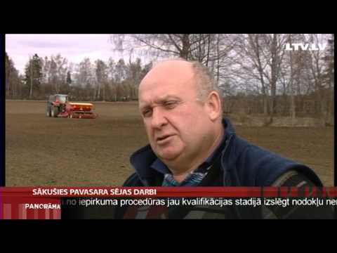 Video: Pavasara Oranža