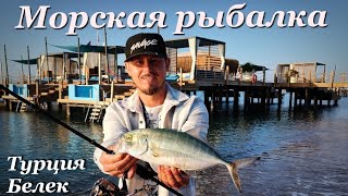 ЭТИ КОНИ ГНУТ СПИННИНГ В ДУГУ🎣 Морская рыбалка 🇹🇷Турция, Белек Hoвый FAVORITE BLUE BIRD BB1-764ULT-T