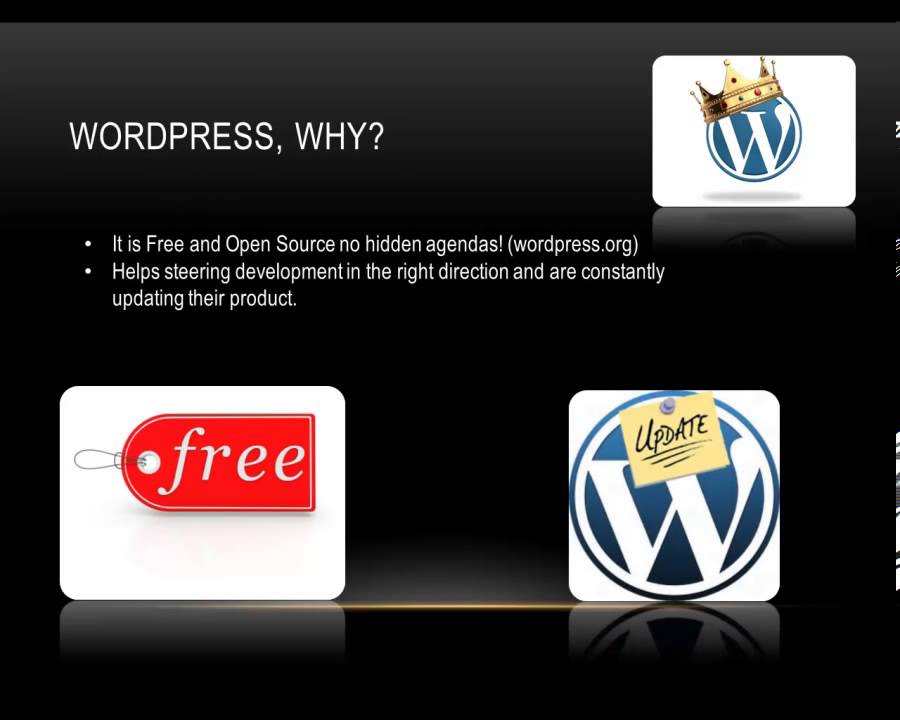 web development strategy lesson CMS WordPress lessons extensive and comprehensive