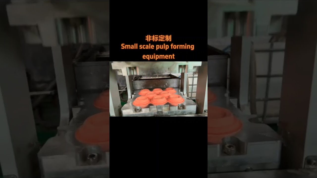 Mini Pulp Molding Tableware Thermoforming Machine 