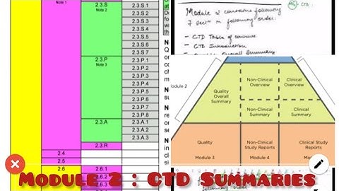 Dossier Preparation in CTD Format I Module 2 I Quality Overall Summary I Part IV I RA I ICH M4
