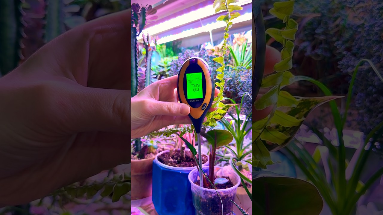 7 pH — это норма или прибор не работает? 🤔 Что думаете? 