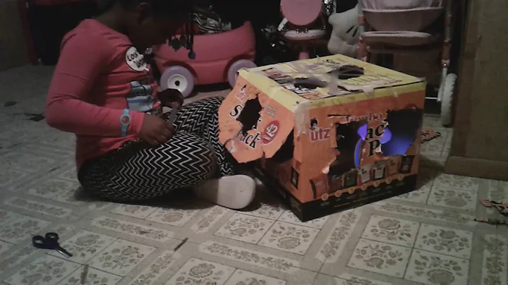 We made a cat box