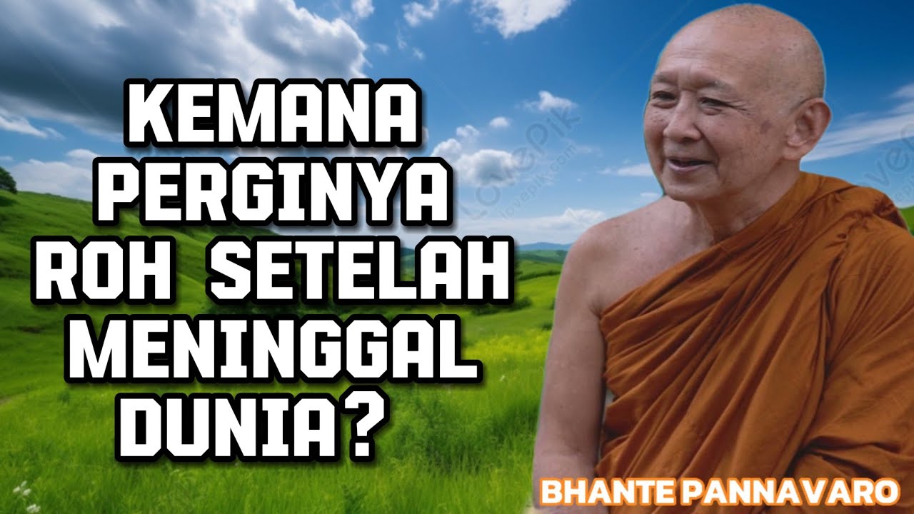 KEMANA PERGINYA ROH SETELAH MENINGGAL DUNIA - BHANTE SRI PANNAVARO MAHATHERA