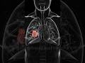 How Lung Cancer Starts Inside Your Body #cancer #health