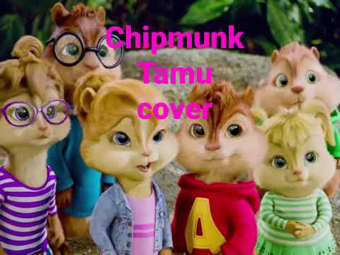 Mbosso Tamu Cover By Chipmunk 