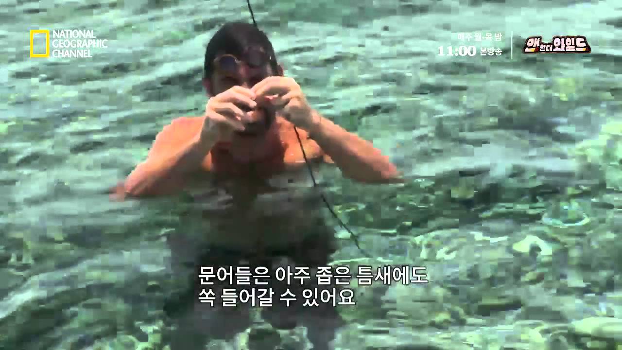 바닷속 삼대장(?) 문어 잡기 도전!