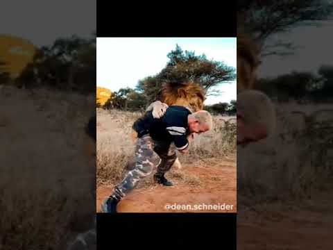 أسد يقفز ويحضن صاحبه مشوق جدا