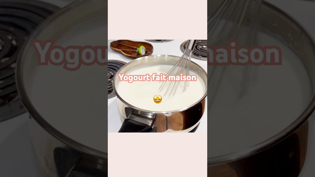 😋 FAIRE son YOGOURT c'est FACILE ! 🐄