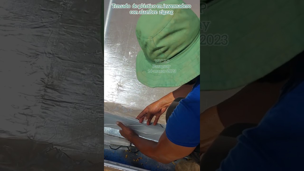 Tensado de plástico  en invernadero con perfil  y alambre  zigzag. Paraguay