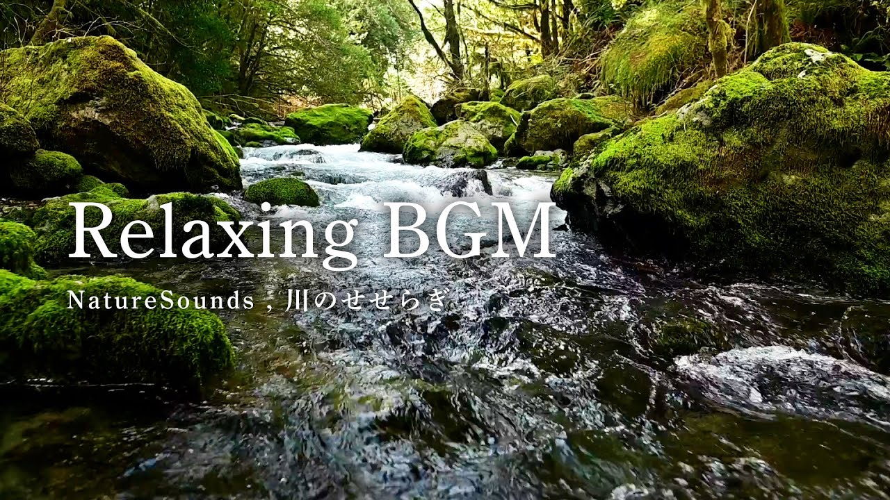 【自然音BGM/川のせせらぎ】自然を感じてリラックス,体で聴く,水の音,川の音,BGM - YouTube