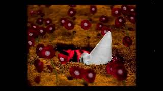 Heart Shaped Box - Nirvana