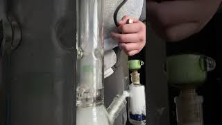 Download Lagu Hitting some gorila glue out the bong 🦍🔥 #bonghits4subs #smoke #monday #underground #sativa MP3