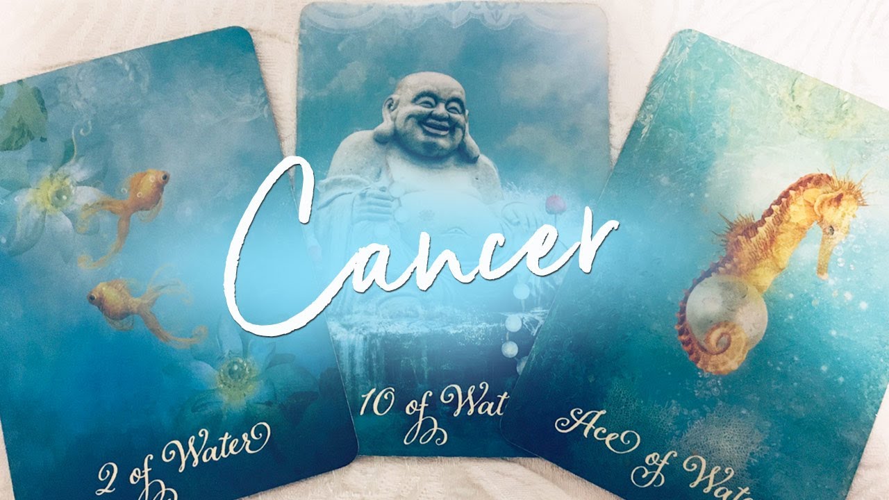 CANCER - WHO'S YOUR NEXT LOVE?