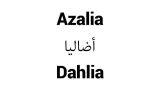 How to Pronounce Azalia Middle Eastern Names