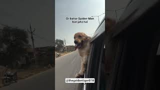 Banku bhya😅 #shortsfeed #shorts #viral #dog #doglife #doglove #funny #fun #enjoy #cute #cutedog