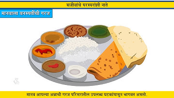 4th EVS 1 | Chapter#02 | Topic#05 | मानवाला वनस्पतींची गरज | Marathi Medium
