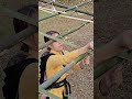 Husband kicked me out of the house. Build a bamboo house and build a new life