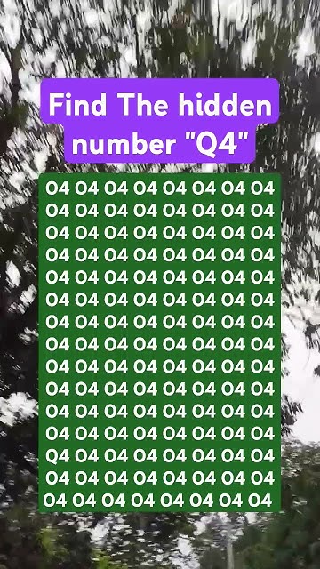 Find the hidden number 
