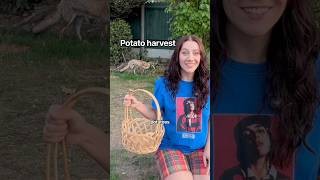 My favourite potato harvest yet! 🥔🦊🐿️
