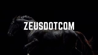 Zeusdotcom Building The Extraordinary