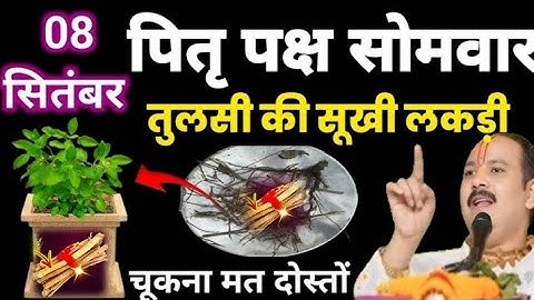 8 सितंबर पितृ पक्ष सोमवार के दिन तुलसी की सूखी लकड़ी का उपाय|#pandit_pradeep_ji_mishra#Tulsi ka upay