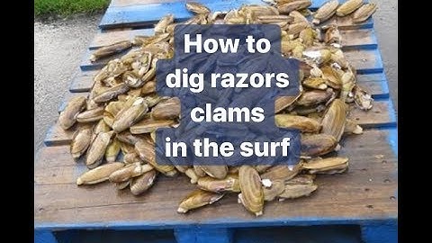 RAZOR CLAMMING | Oregon - Washington