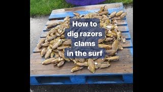 RAZOR CLAMMING | Oregon - Washington