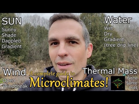 How To Create A Microclimate For Plants
