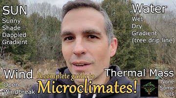 Gids voor het creëren van microklimaten in uw tuin