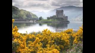 Fundo musical Paulo Junior Deirdre of the sorrows