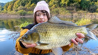 A female crucian carp angler's encounter with a giant crucian carp she had been pursuing in a dam...