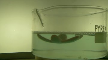 salt-driven 4D printing