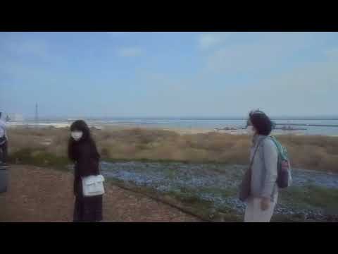 20220417ひたちなか海浜公園２