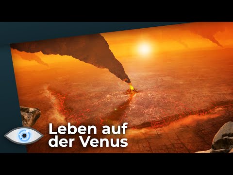Video: Gibt Es Leben Auf Der Venus? Diese Missionen Könnten Es Finden