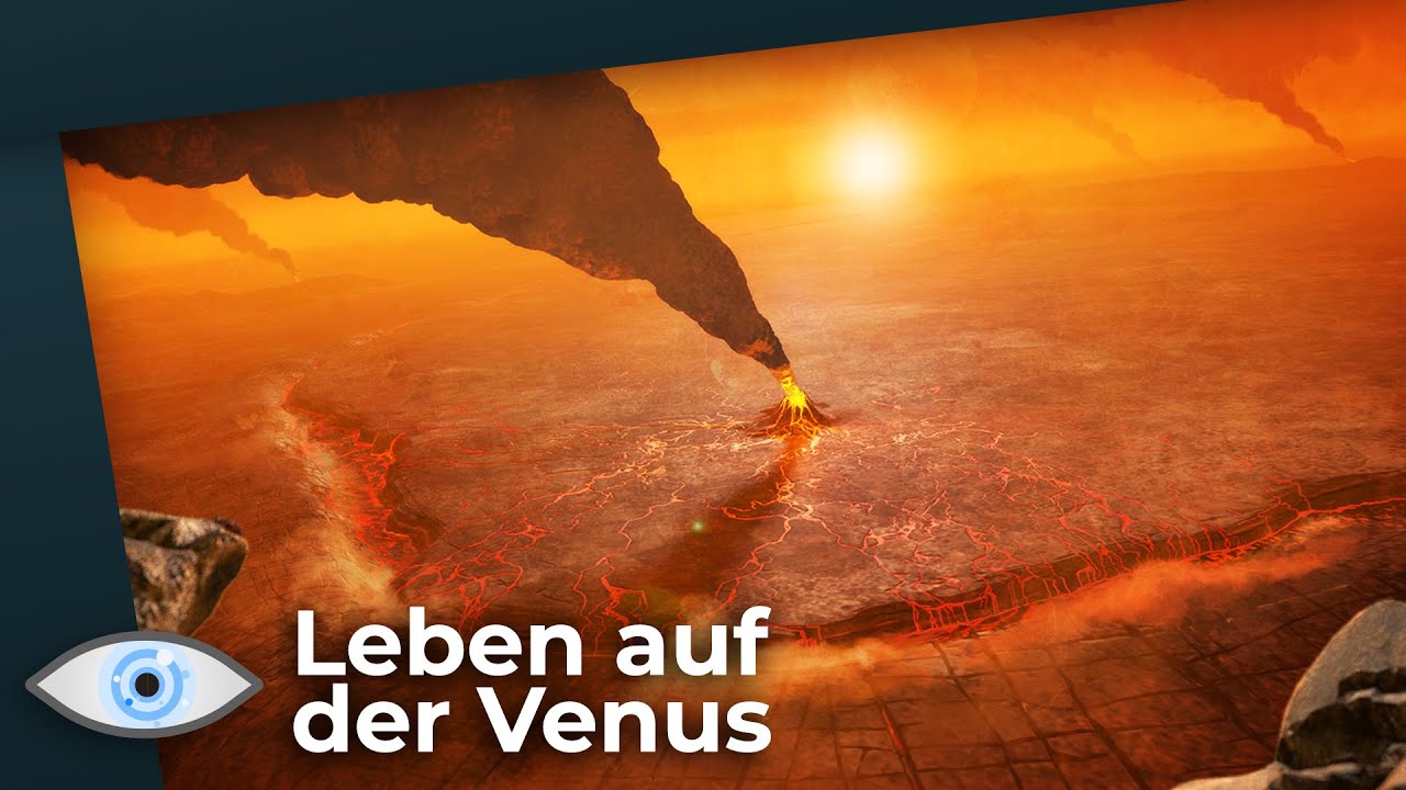 Leben auf der Venus - Wissenschaft findet für Sensationsfund nur eine Erklärung