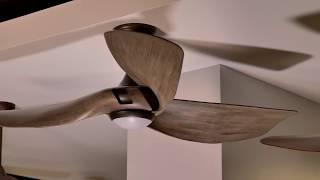 56" Melody Ceiling Fan by Monte Carlo