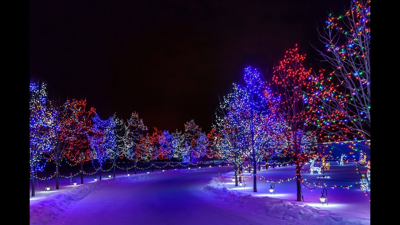 Предновогодняя поездка по городу. Каток на Августусплаце. Китайский Новый Год. Часть 2
