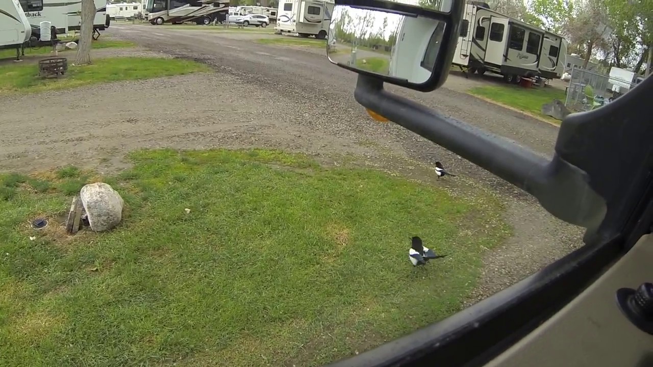 Snake River RV in Idaho Falls YouTube