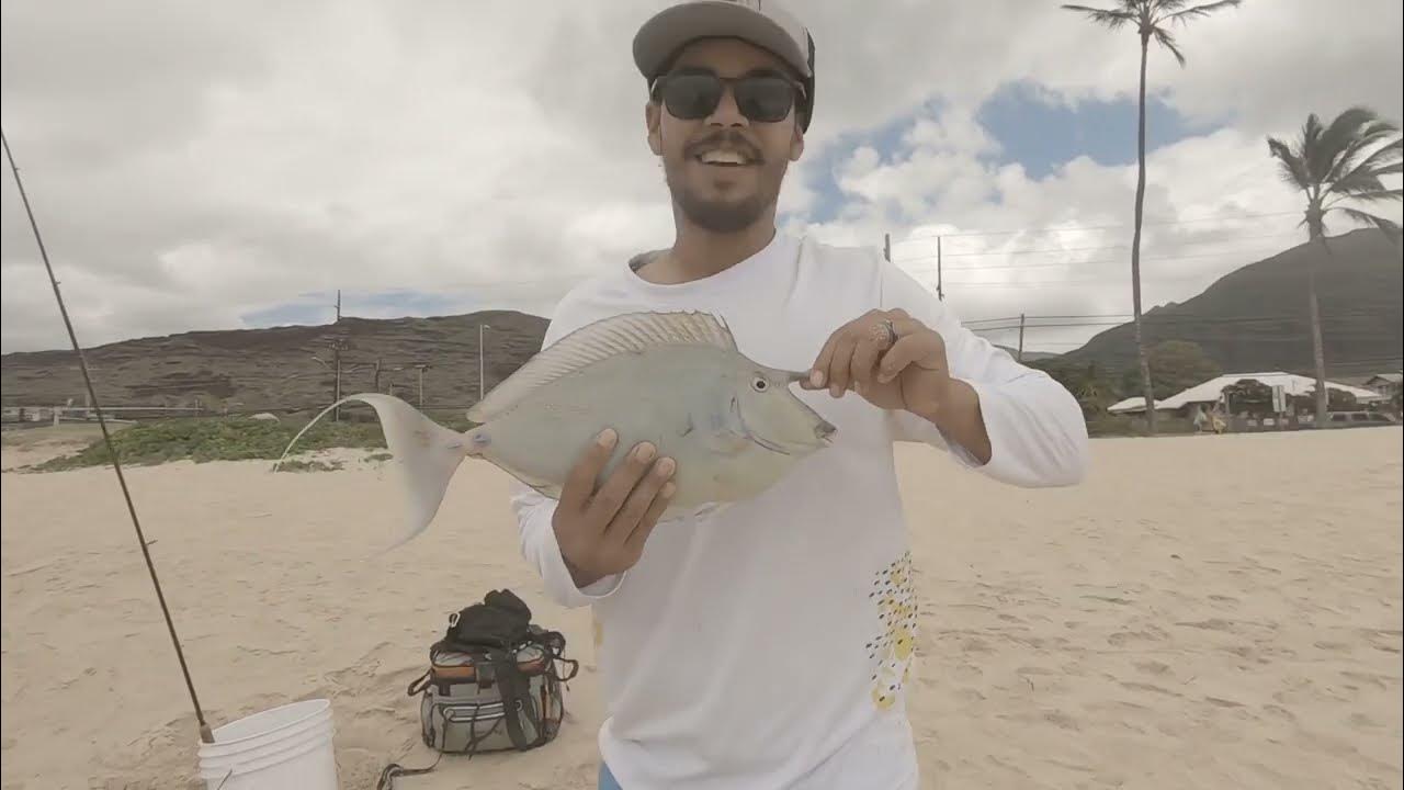 Oahu Kala Fishing (unicorn fish) Westside YouTube