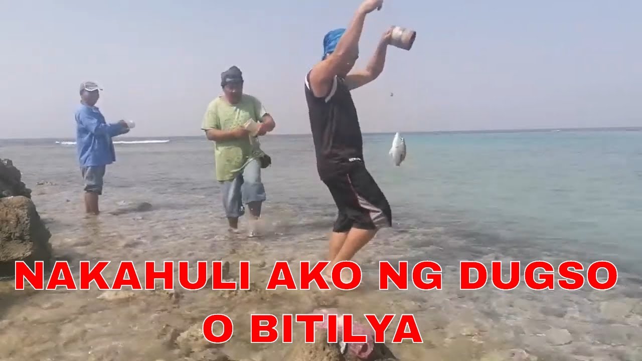 Fishing danggit, batalay, dugso, PART 2 YouTube