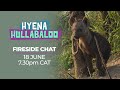 WildEarth - Hyena Hullabaloo Fireside Chat