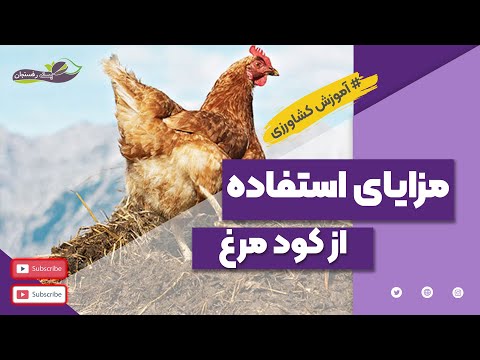 تصویری: کارت نقدی Sberbank: نحوه صدور، زمان تولید، اسناد، ویژگی ها