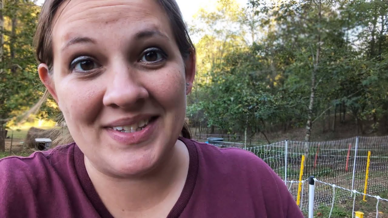 How I Got My Goats To Stop Jumping Over The Fence