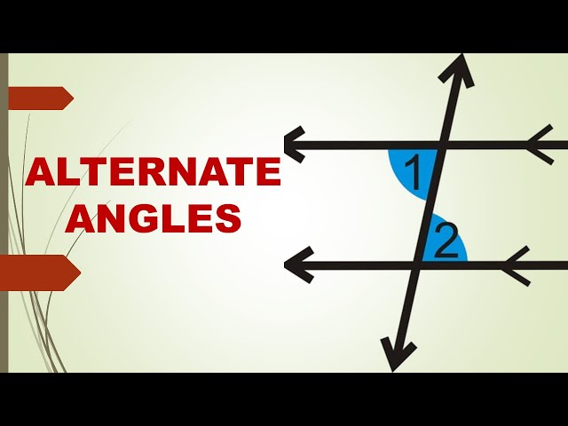 20 Alternate Angles Definition Construction Geometry In Urdu Hindi You