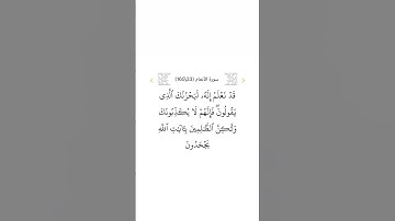 سورة الأنعام ٣٣