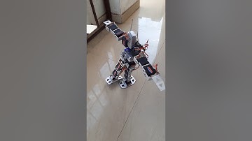 17 DOF ROBOT (IAR)- INSTITUTE OF ADVANCED ROBOTICS