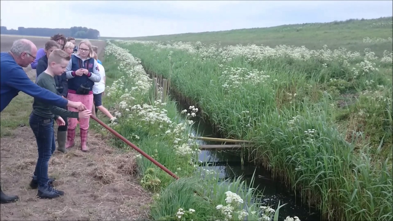 Polsstokspringen in de Kop van de Nop