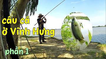 [Phần 1] Hai cha con đi câu cá ở Vĩnh Hưng