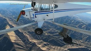 Famous FAA says pilot in viral video crashed his airplane on purpose Wealth